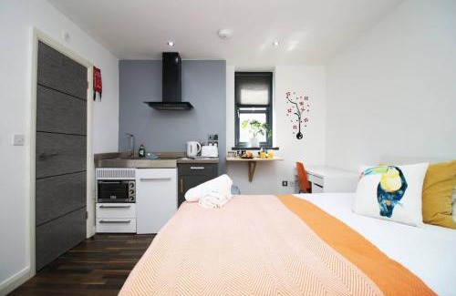 Plasnewydd Apartment | Cosy, Modern & Comfortable Studio