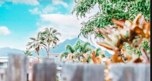 Coconut Grove Apartment | Cottage in Kailua Town