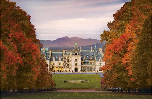 Asheville House | Cottontail Cottage Pet-friendly, Fire Pit & 10 Min. to Downtown AVL!