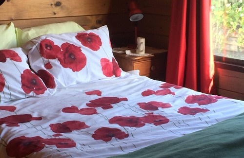 Kotemaori House | Country living at its best