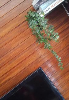 Sungai Lembing Hotel | Country View Inn