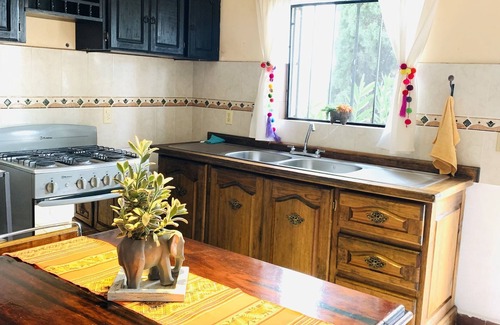 Taxco Apartment | Cozy apartment with kitchen and garden