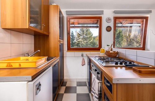 Ravna Gora Apartment | Cozy apartment in Ravna Gora with WiFi