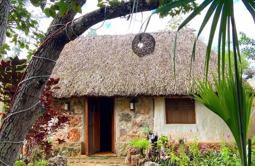 Tzucacab Cabin | Cozy hut (Casa Maya) in the middle of nature