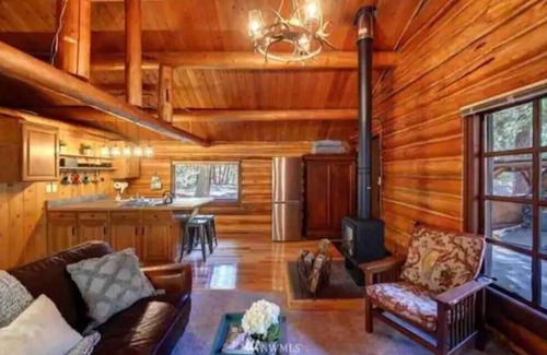 Mazama Cabin | Cozy Mazama cabin nestled in the woods in the North Cascade Pet Friendly!
