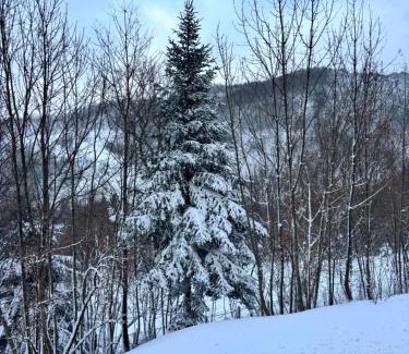 Faidello Apartment | Cozy Mountain Apartment with Cimone view