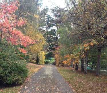 Grove Bed & Breakfast | Crabtree House