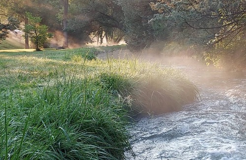 Hot Springs House | Creekside Retreat Minutes From Hot Springs