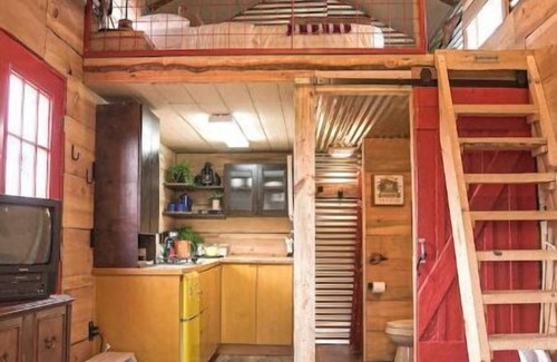 Nogal House | Crow’s Nest Treehouse at El Místico Ranch