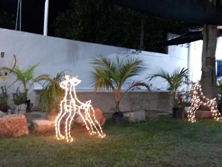 Oxkutzcab Apartment | Cuarto 2