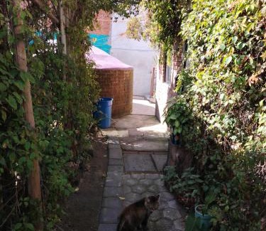 Puebla Hotel | Cuatro Rumbos Hospedaje