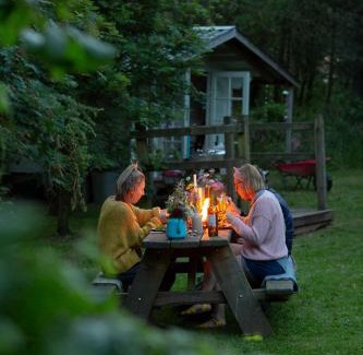 Milford Haven Other | Cwtch Woodland Camp