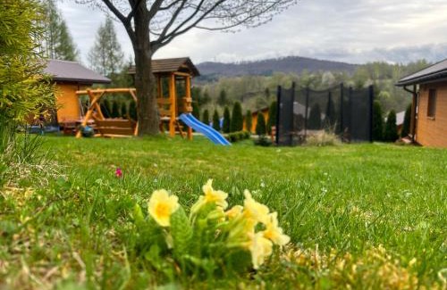 Ustrzyki Dolne House | Czeleniówka