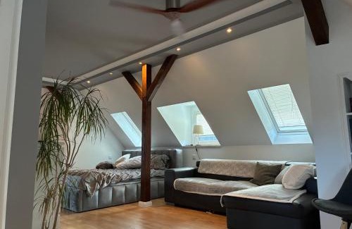 Hohenstein-Ernstthal Apartment | Dachgeschosswohnung in historischer Villa