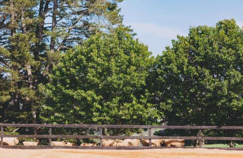 Seville Bed & Breakfast | Dalblair Bed & Breakfast