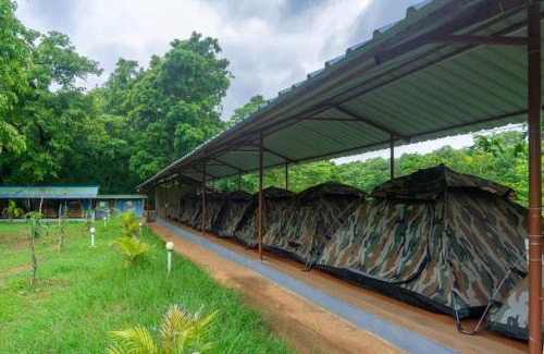 Dandeli Resort | Dandeli Green Adventure Resort