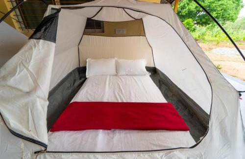 Timbholi Hotel | Dandeli Hill View Jungle Stay