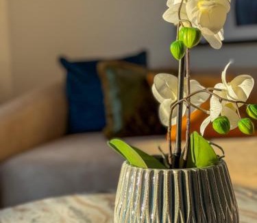 Krems an der Donau Apartment | Danube Hills 319