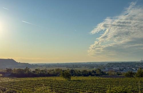 Krems an der Donau Apartment | Danube Hills 319