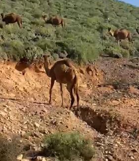 Mirleft Apartment | Dar diafa samira