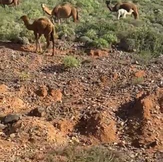 Mirleft Apartment | Dar diafa samira