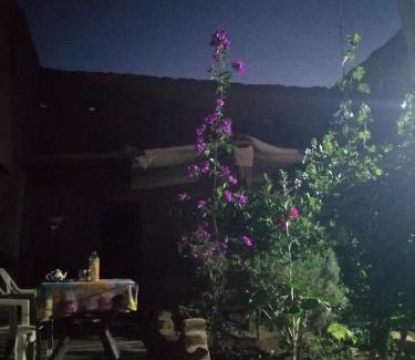 M'Hamid El Ghizlane Apartment | Dar itran