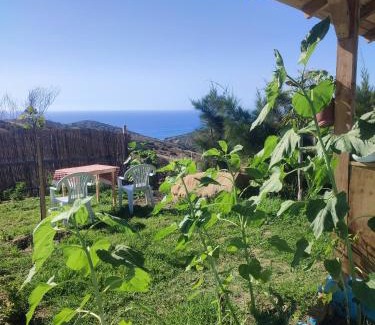 Sahel Chamali House | Darna 4