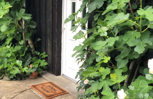Herdecke Hotel | Das Gartenhäuschen im Landhaus im Park
