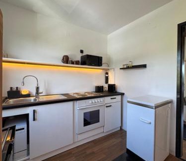 Kohfidisch Apartment | Das Sonnenhut Kellerstöckl am Csaterberg