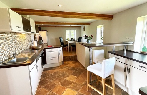 Rodenas House | Dat groote Diekhuus - whirlpool, terrace, fenced garden, sauna, beach chair