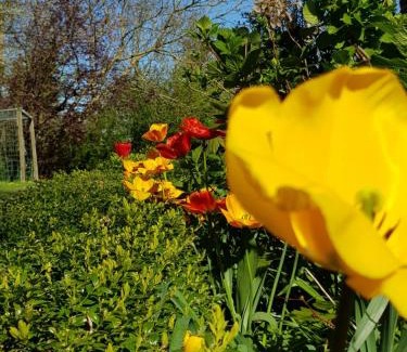 Risum-Lindholm House | De Friesenjung Nordsee