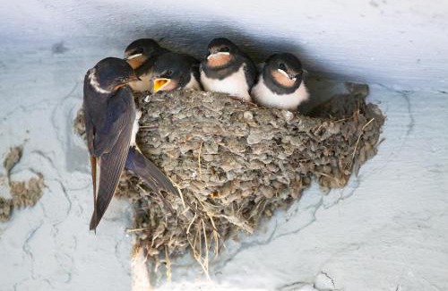 Petershagen b Fredersdorf b Berlin Apartment | Inspektorhaus-Behlendorf