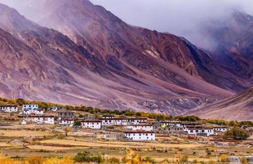 Losar House | Delek Homestay Losar