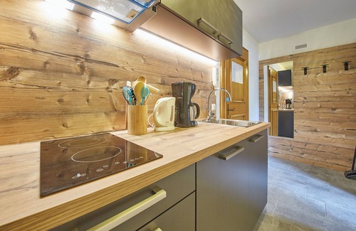 Saalbach-Hinterglemm Apartment | Delfi Ski & Bike Apartments