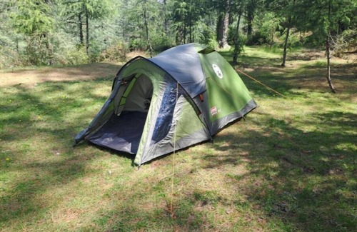 Shimla RV Rental | Delicate camp D
