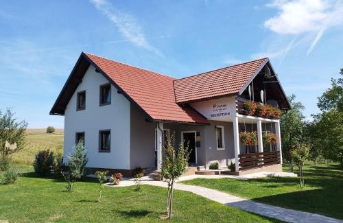 Irinovac Apartment | Deluxe Apartment with Jacuzzi - PATAR