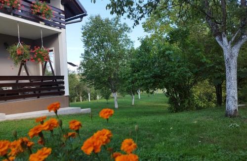 Irinovac Apartment | Deluxe Apartment with Jacuzzi - PATAR