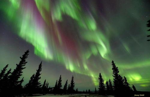 Healy House | Denali King Suite with Amazing Views