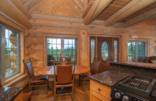 Healy Cabin | Denali only 17 miles away! Grill, washer & dryer, jacuzzi bathtub with a view