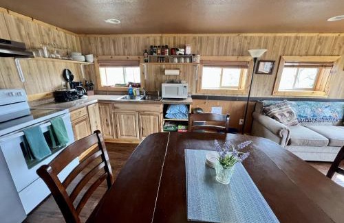 Healy House | Denali Park View Family Log Cabin