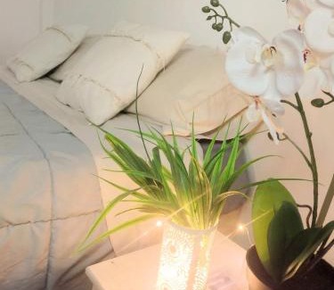 Banfield Apartment | Departamento de 2 habitaciones Banfield centro