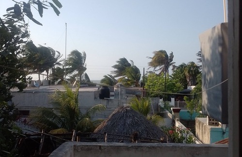 Dzilam de Bravo Apartment | Departamento grande caracoles 2