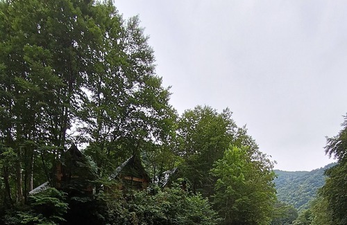 Rize Cabin | Dere Kenarı Orman içi dağ evi