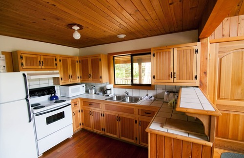 Powell River Cabin | Desolation Resort