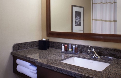 Downtown Detroit Hotel | Detroit Marriott at the Renaissance Center