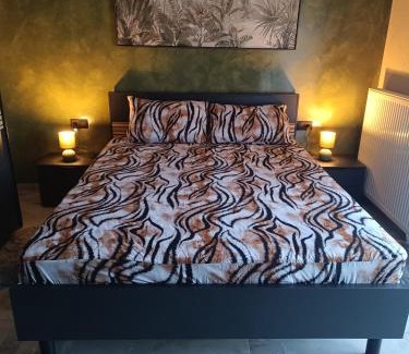Almopia Apartment | Dimitra 's house