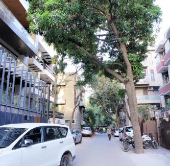 Saket Apartment | Divine India Service Apartment 1bhk, D-198,UGF