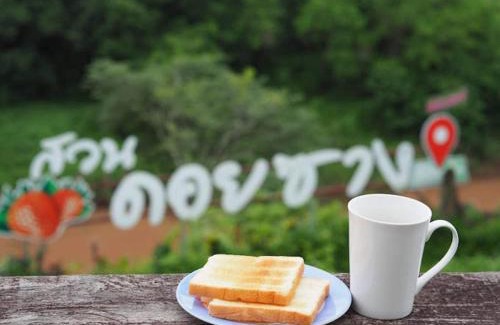 Wiang Sa House | Doi Sang Farm Stay - ดอยซางฟาร์มสเตย์