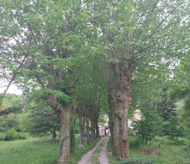 Saint-Laurent-le-Minier House | Dolce Vita