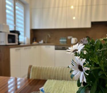 Mszana Dolna Apartment | Dolce Vita